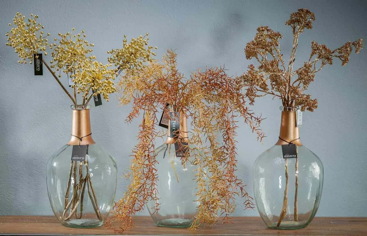 Roślina szt.- Kwiat Hedery_Aluro – miniatura 5