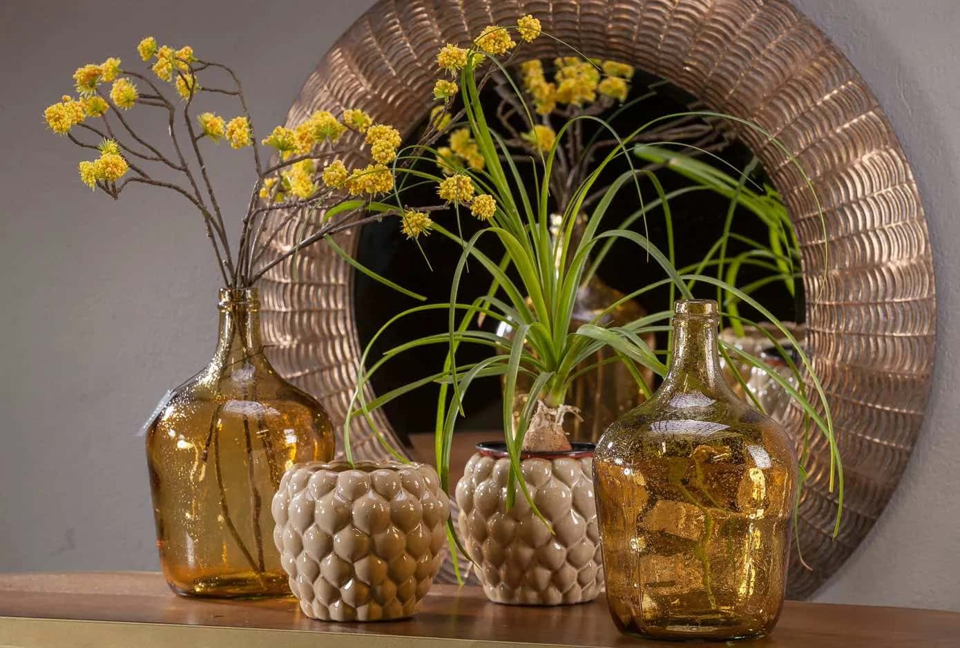 Roślina szt.-Callicarpa żółta – miniatura 6