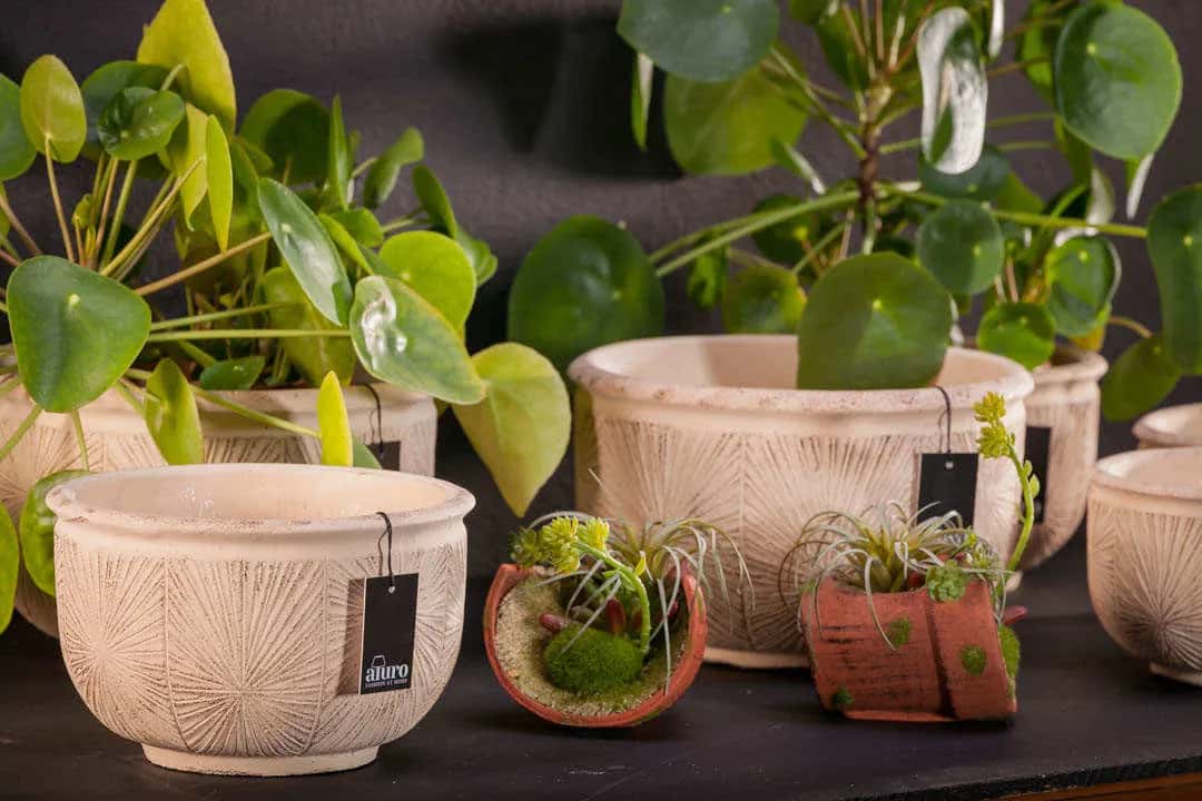 Doniczka,osłonka ORENSE_Aluro L – miniatura 7
