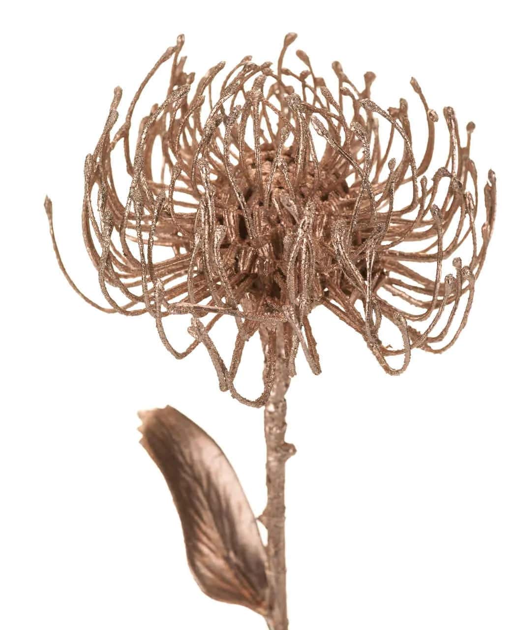 Roślina szt.-Protea – miniatura 2