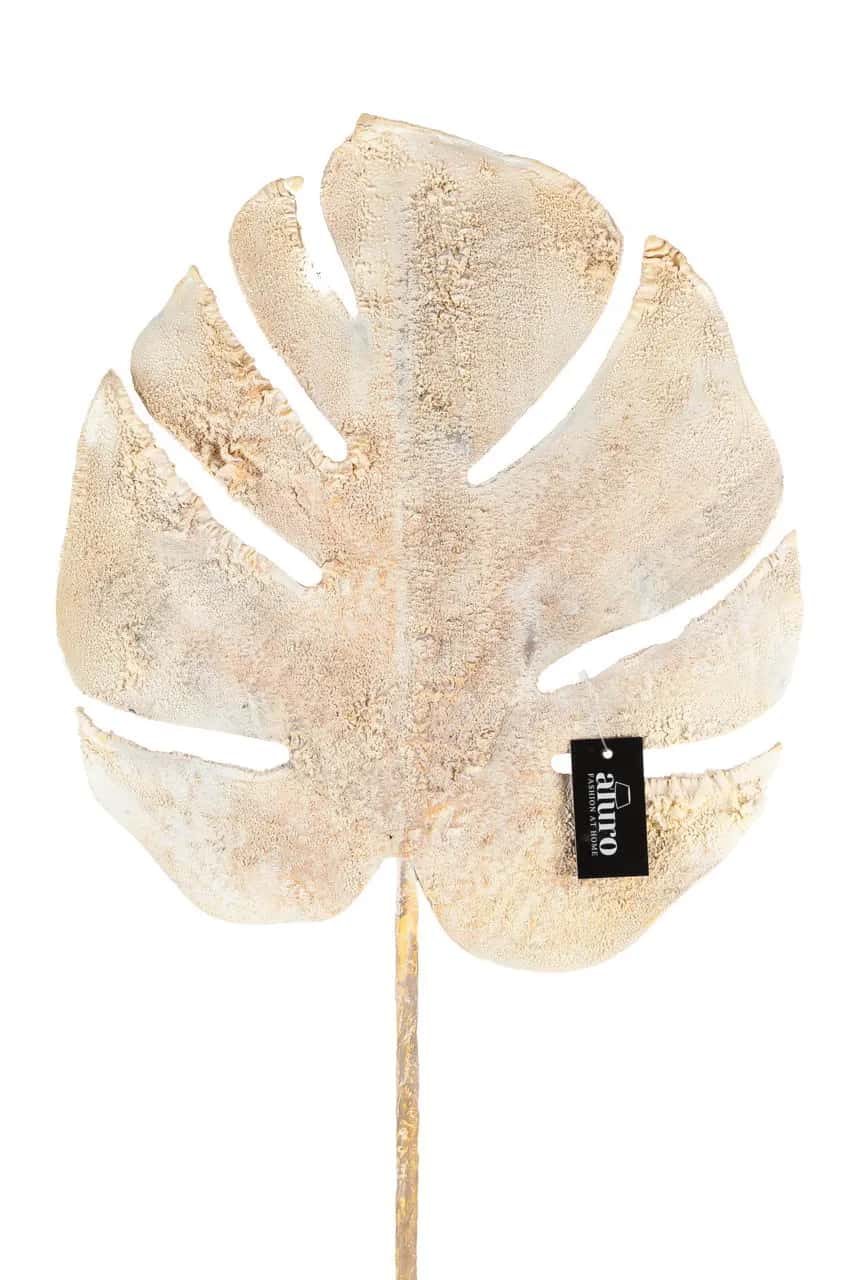Roślina szt.-Monstera – miniatura 3