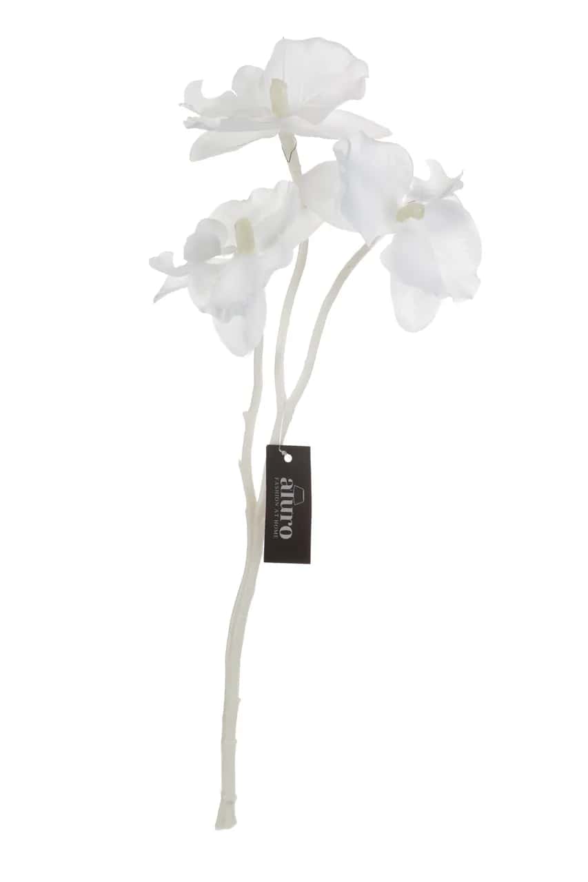 Roślina szt.-gałązka białej orchidei_Aluro – miniatura 1
