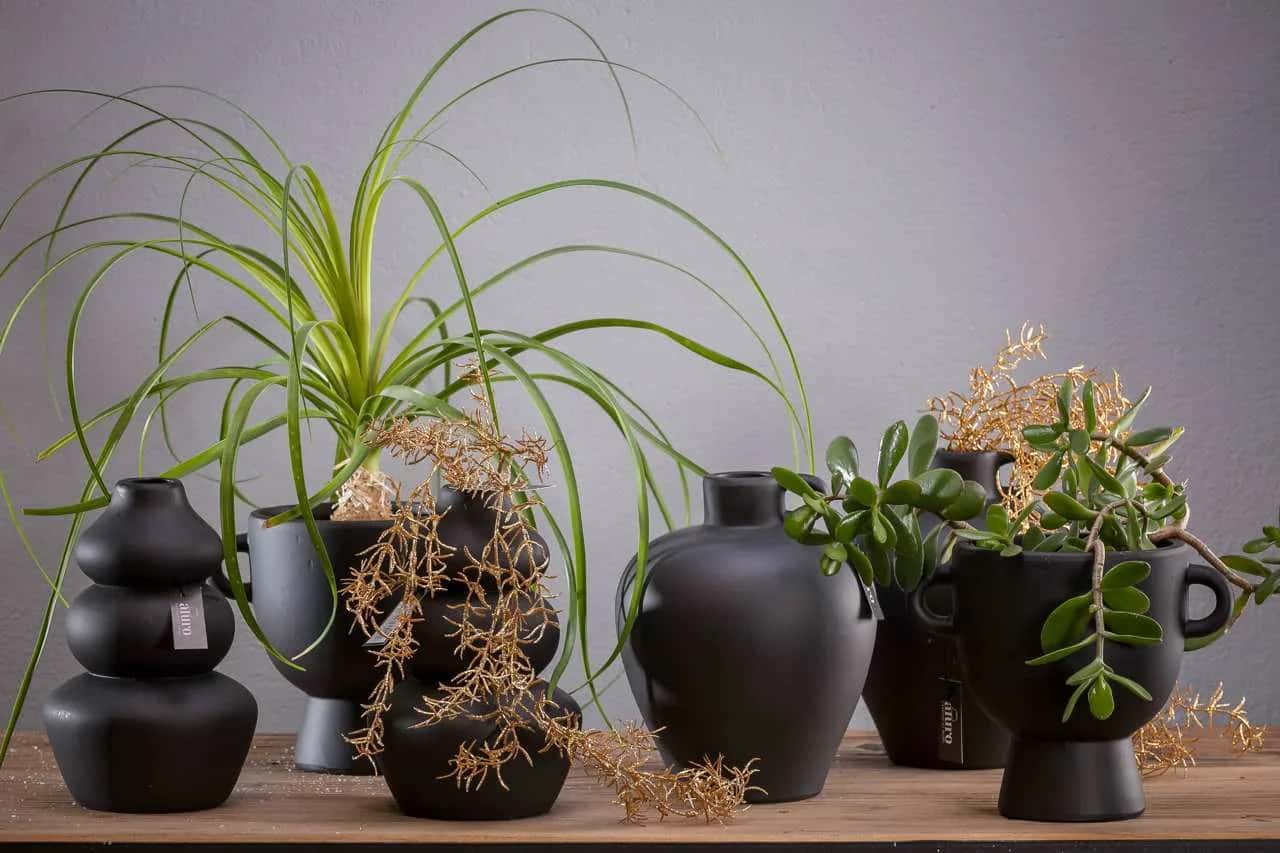 Wazon FIROKO Ø18 cm – miniatura 3