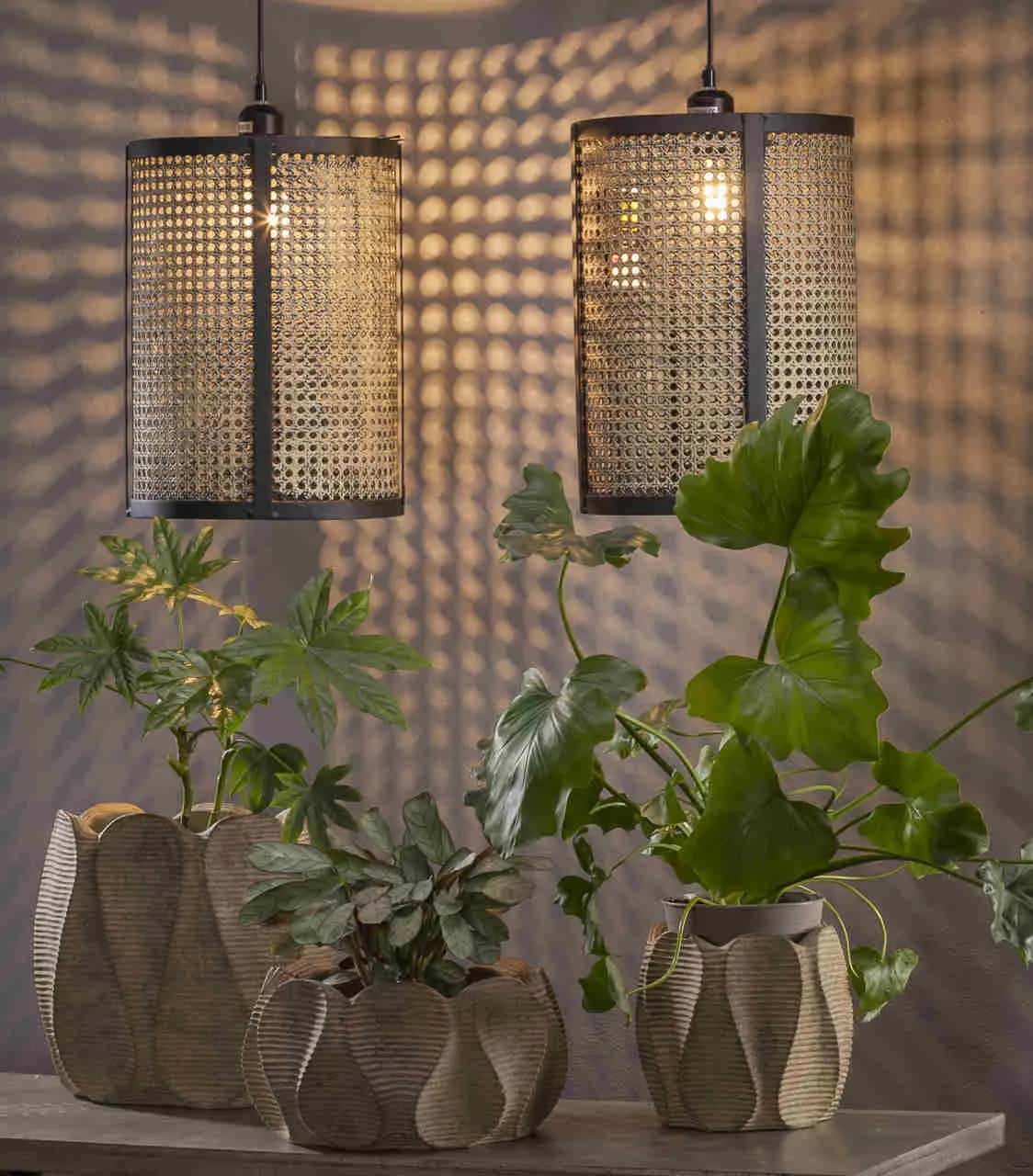 PTMD Lampa wisząca BAYU – miniatura 1
