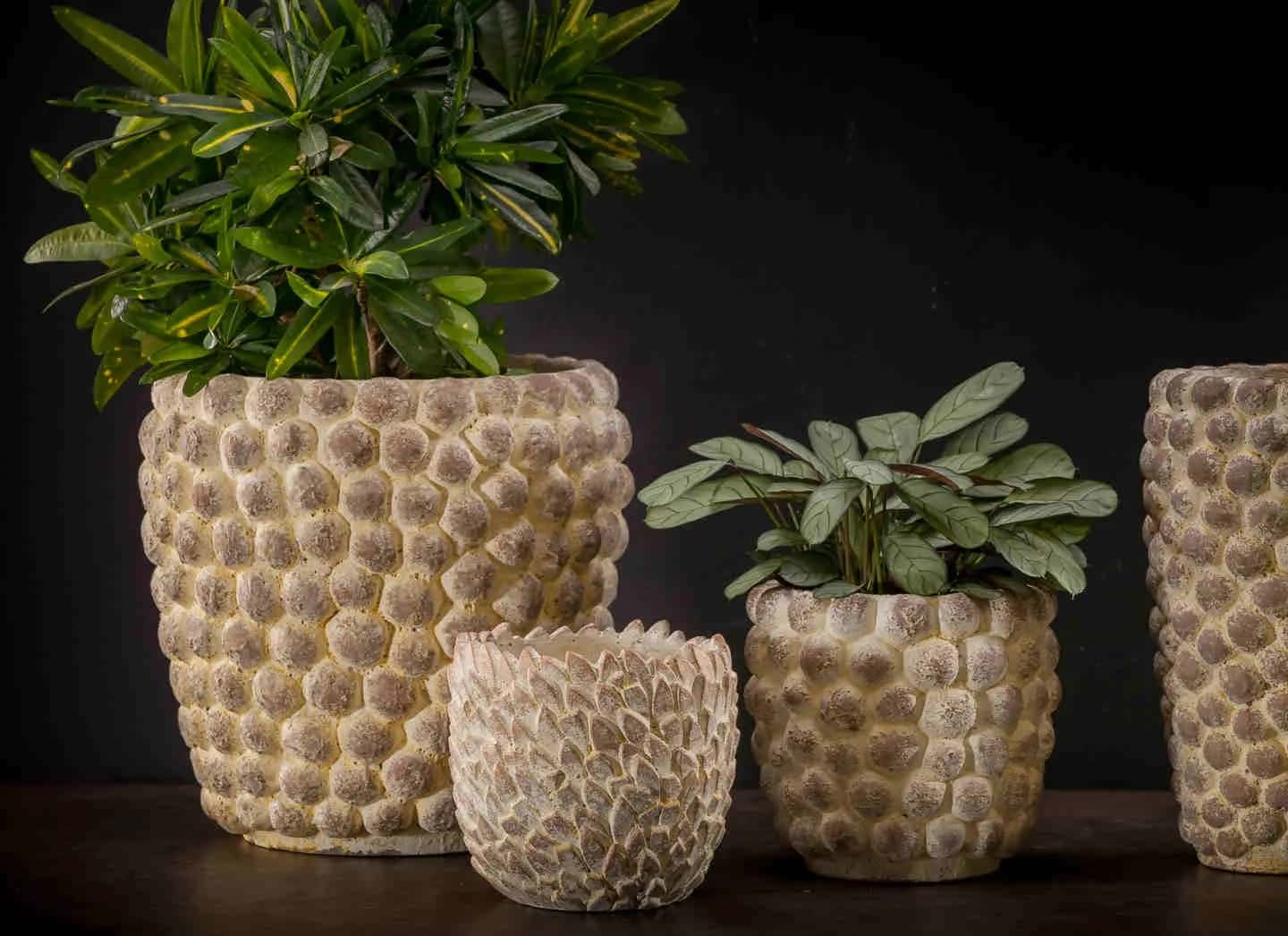PTMD Osłona donicy RUIS XL – miniatura 5