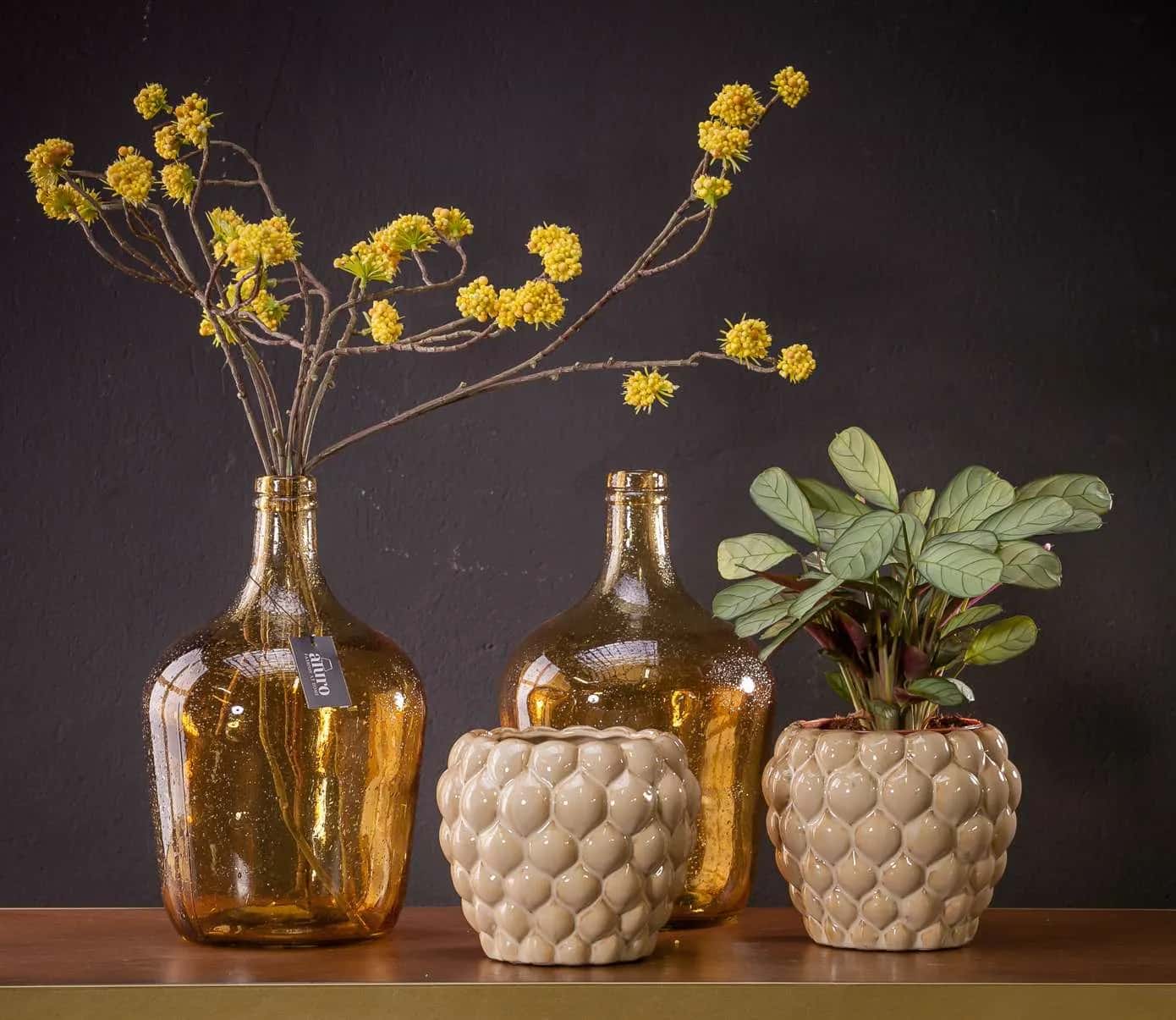 Roślina szt.-Callicarpa żółta – miniatura 4