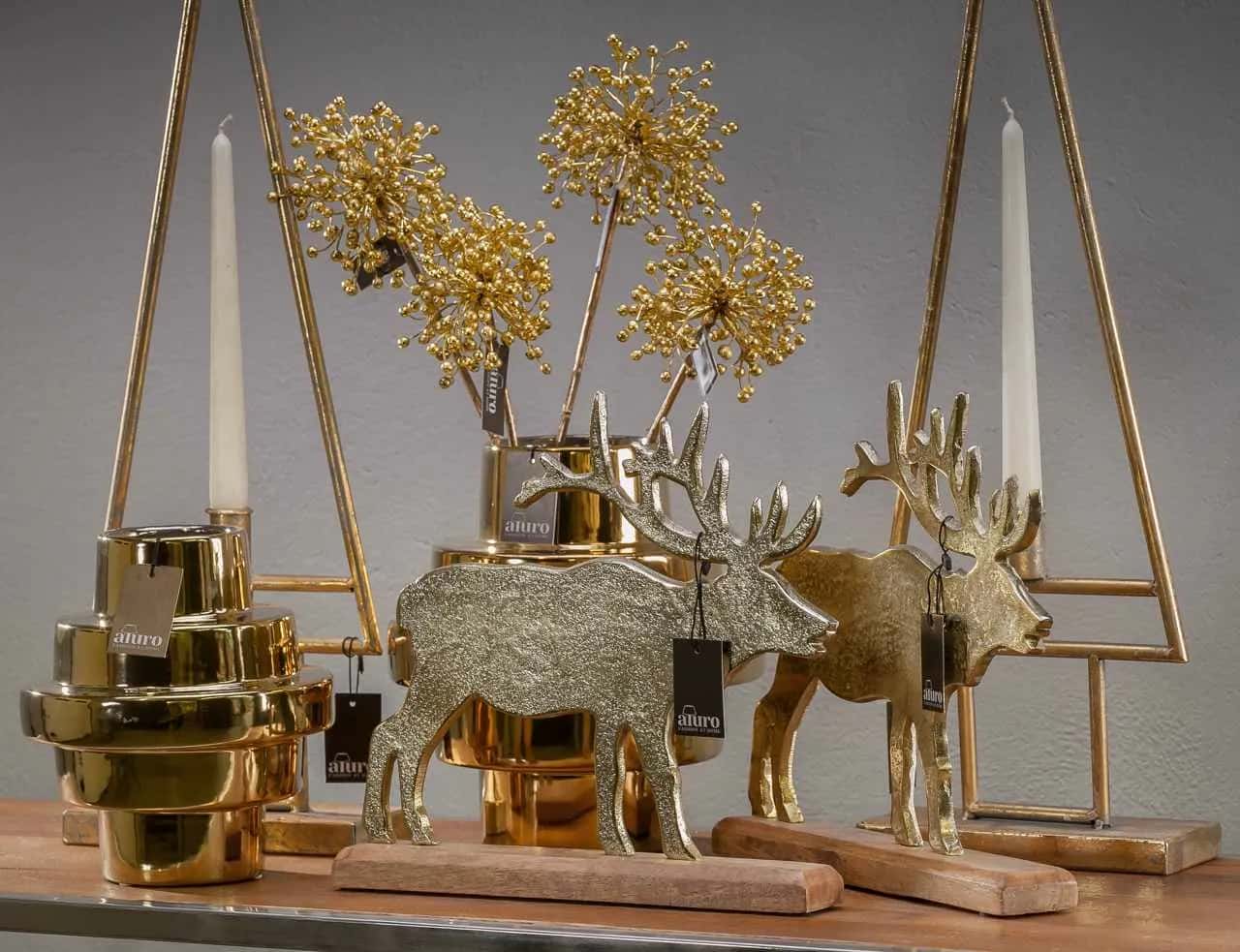 Roślina szt.- Kwiat Hedery_Aluro – miniatura 4