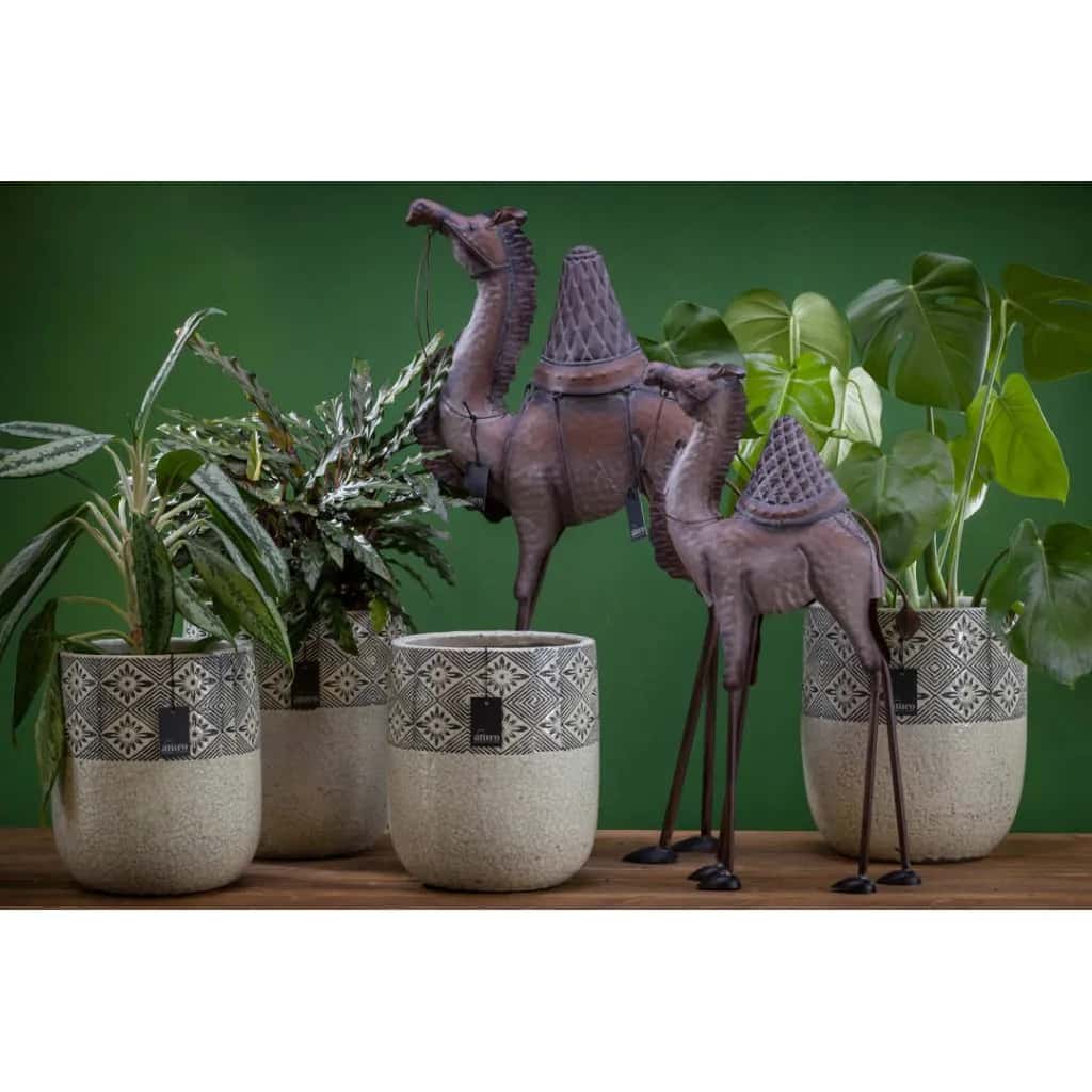 Wielbłąd dromader- figura _Aluro L – miniatura 4