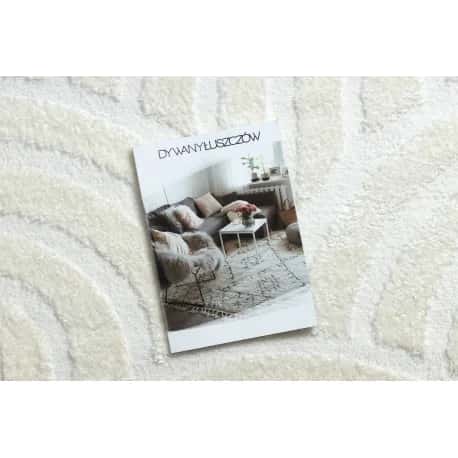 Dywan MODE 8629 muszle – miniatura 2