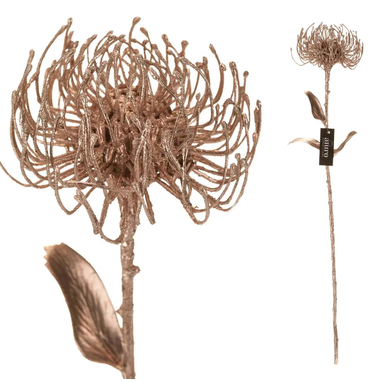 Roślina szt.-Protea – miniatura 3