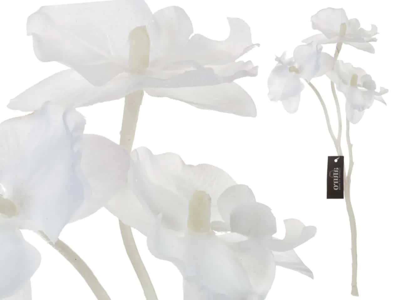 Roślina szt.-gałązka białej orchidei_Aluro – miniatura 2