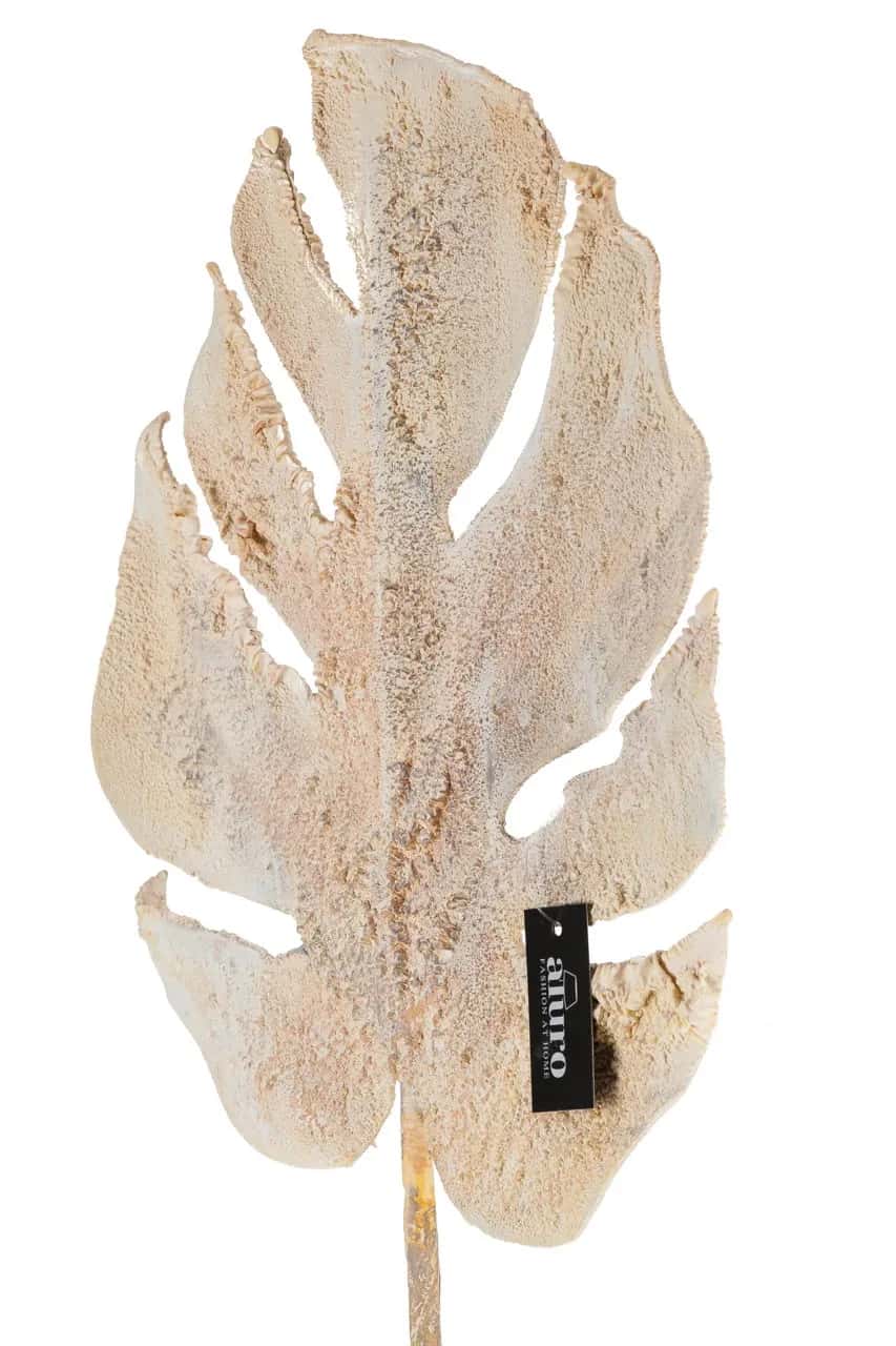 Roślina szt.-Monstera – miniatura 2