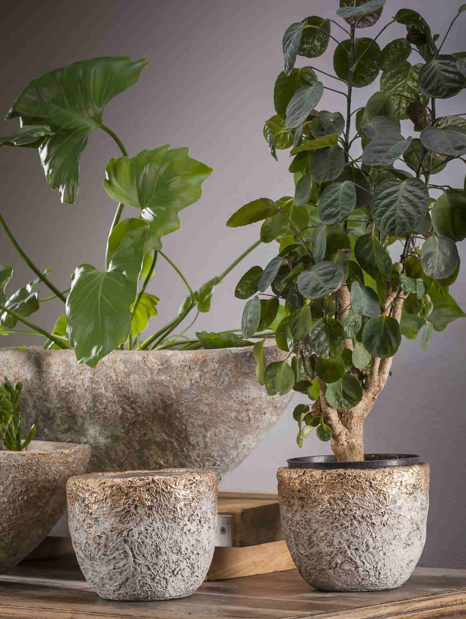 ALURO - Oslona donicy HIJO