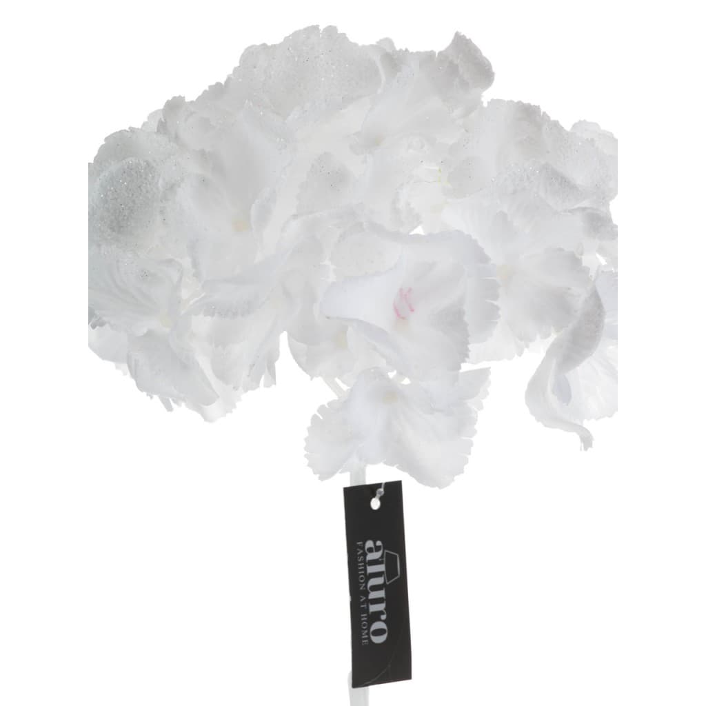 Roślina szt. - hortenzja