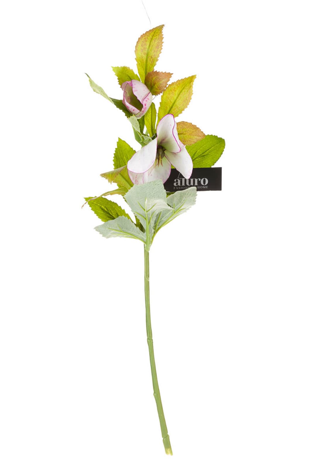 Roślina sztuczna- ciemiernik