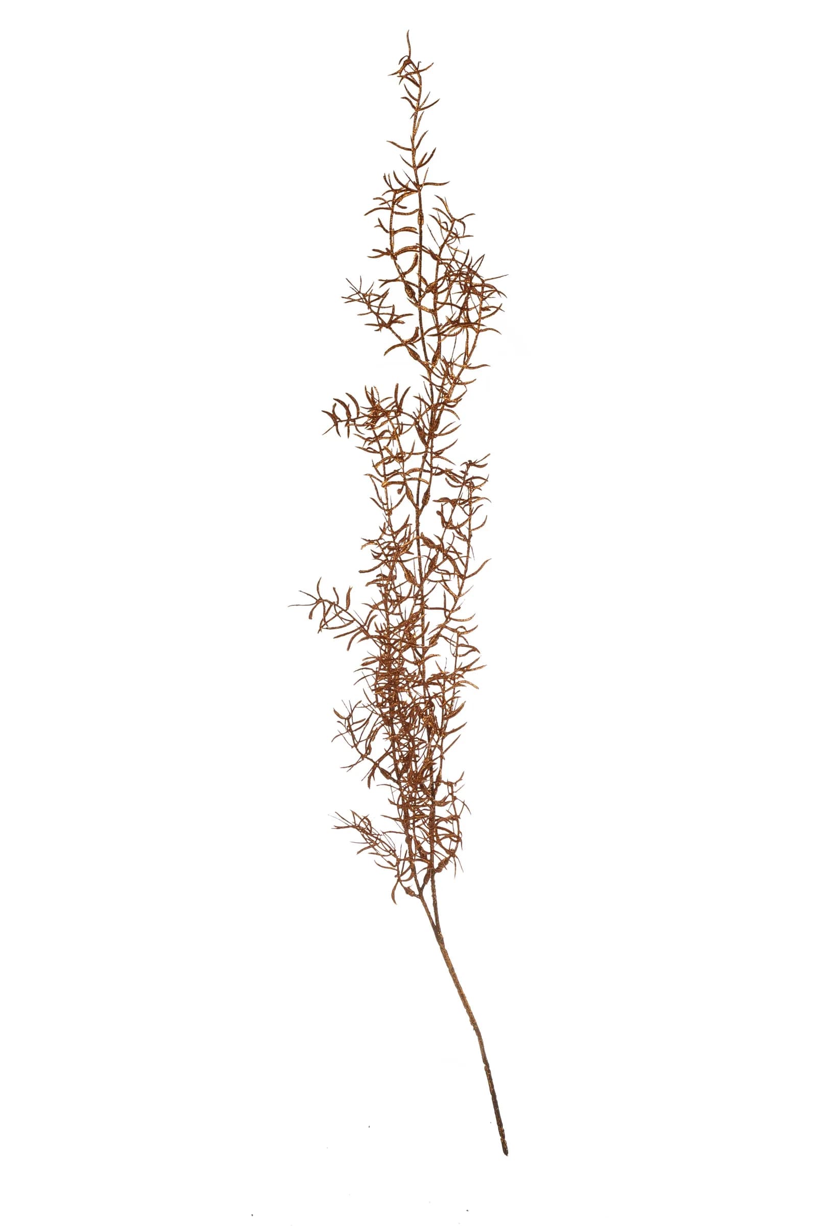 Roślina sztuczna - asparagus copper