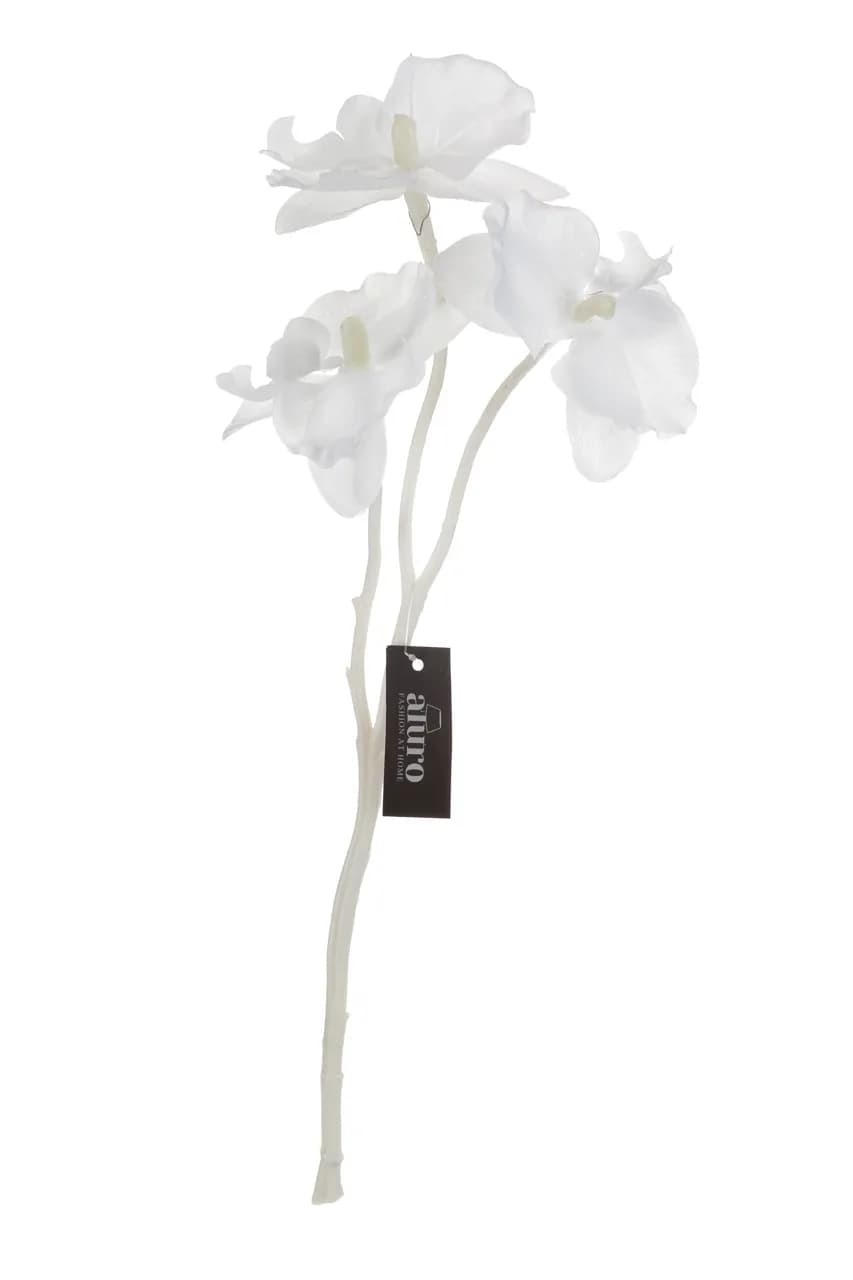 Roślina szt.-gałązka białej orchidei